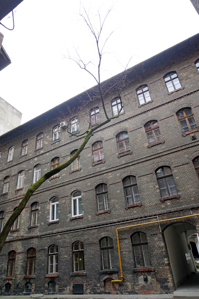 Photo 45